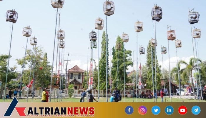 Ribuan Ayam Bekisar Bersuara Merdu di Bupati Cup 2024