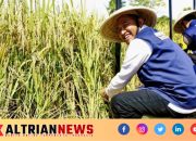 Bupati Sumenep Ingatkan Warga Tak Terlibat Oplosan Beras, Tegaskan Komitmen Dukung Program Pusat 14 Bupati Sumenep Ingatkan Warga Tak Terlibat Oplosan Beras, Tegaskan Komitmen Dukung Program Pusat
