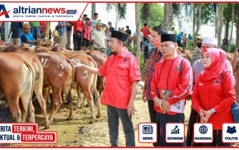 Said Abdullah Salurkan 298 Sapi Kurban untuk Masyarakat Madura Jelang Iduladha 1447 H