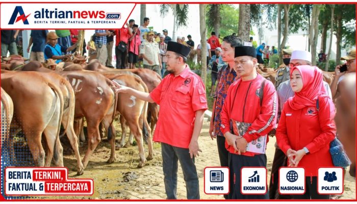 Said Abdullah Salurkan 298 Sapi Kurban untuk Masyarakat Madura Jelang Iduladha 1447 H
