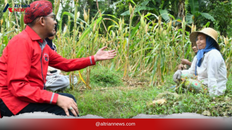 Petani Tembakau Sumenep Mulai Musim Tanam 2026, Bupati Fauzi Tegaskan Komitmen Pendampingan